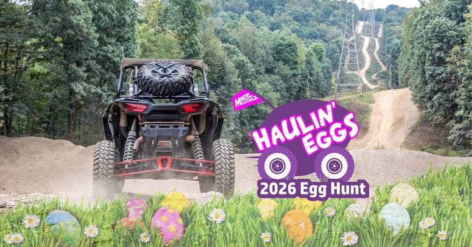 Haulin Eggs
